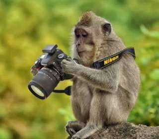 想像以上に過酷だった…動物写真家の努力と苦悩が一瞬でわかる画像