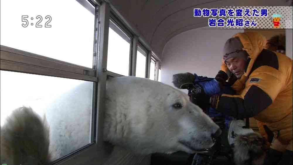 想像以上に過酷だった…動物写真家の努力と苦悩が一瞬でわかる画像