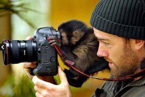 想像以上に過酷だった…動物写真家の努力と苦悩が一瞬でわかる画像