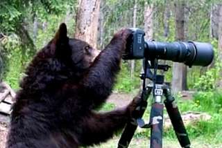 想像以上に過酷だった…動物写真家の努力と苦悩が一瞬でわかる画像