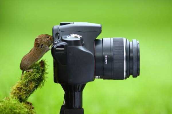想像以上に過酷だった…動物写真家の努力と苦悩が一瞬でわかる画像
