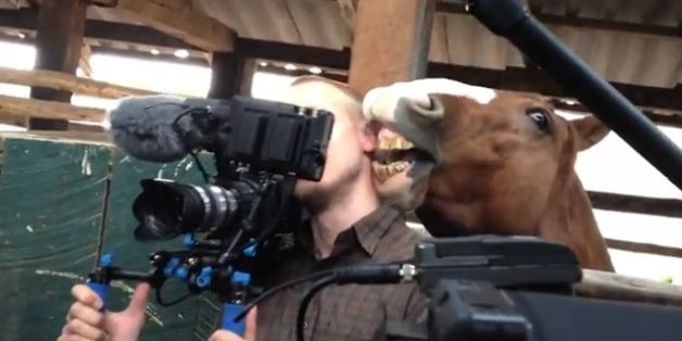 想像以上に過酷だった…動物写真家の努力と苦悩が一瞬でわかる画像