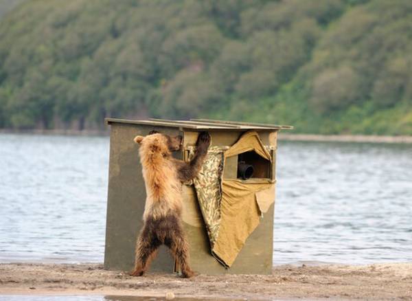 想像以上に過酷だった…動物写真家の努力と苦悩が一瞬でわかる画像