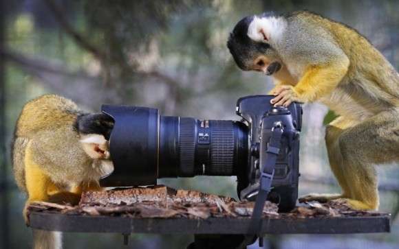 想像以上に過酷だった…動物写真家の努力と苦悩が一瞬でわかる画像