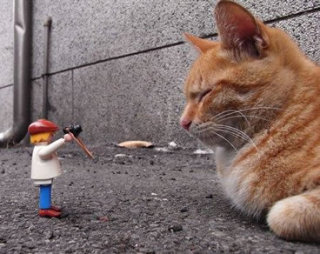 想像以上に過酷だった…動物写真家の努力と苦悩が一瞬でわかる画像