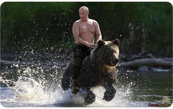 芸能人の全身写真が見たい