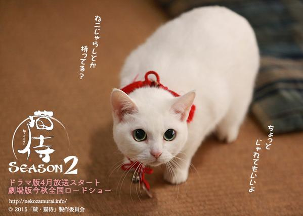 芸能人の全身写真が見たい