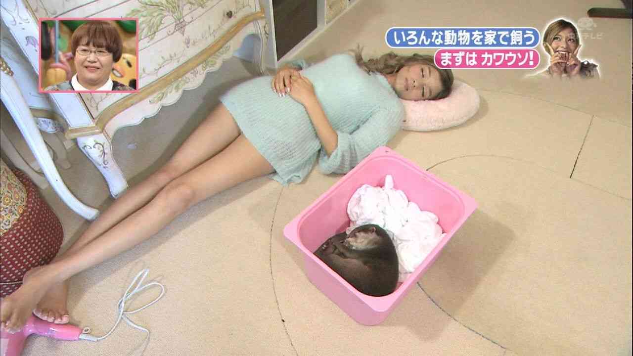 芸能人の全身写真が見たい