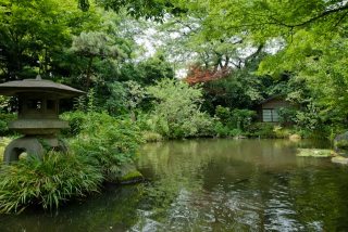 東京で安らげる場所、教えてください！