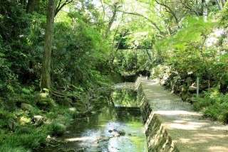 東京で安らげる場所、教えてください！