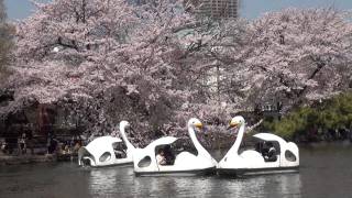 東京で安らげる場所、教えてください！