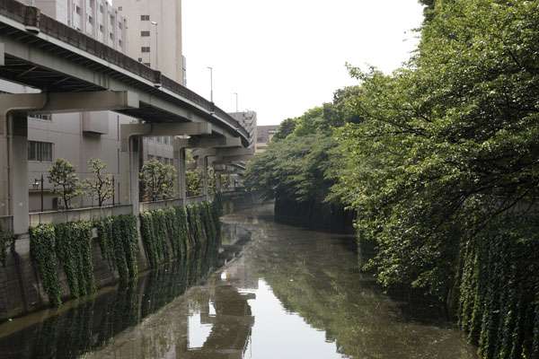 東京で安らげる場所、教えてください！