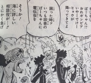 おばあちゃんの知恵教えて下さい。