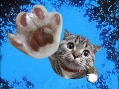 すんごいカッコつけてる画像下さい