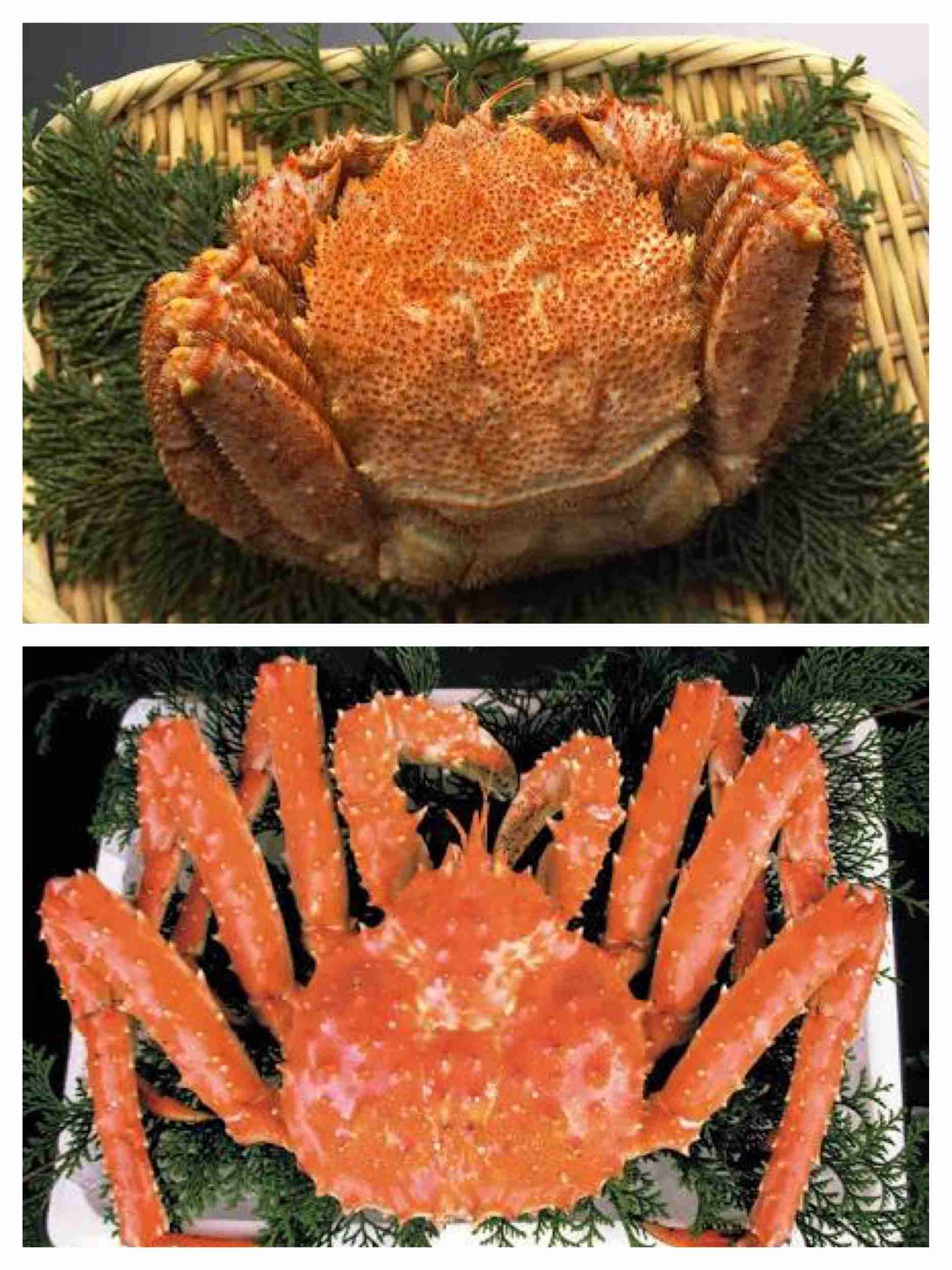 似てるけど好きなのはどっち？