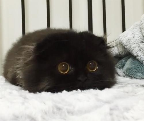 みんなこういう時どうしてるの?と思う事