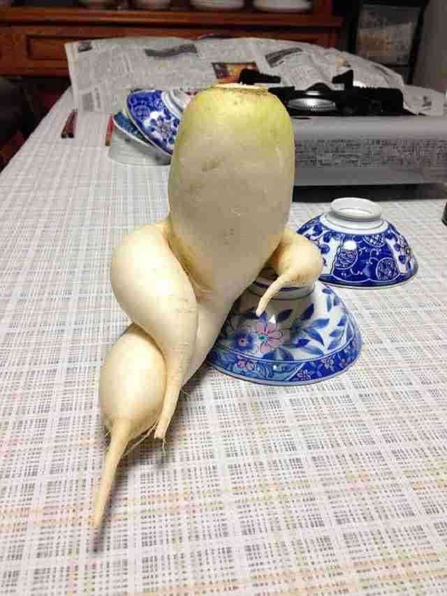 「来いよ」って言ってそうな画像くださいpart2