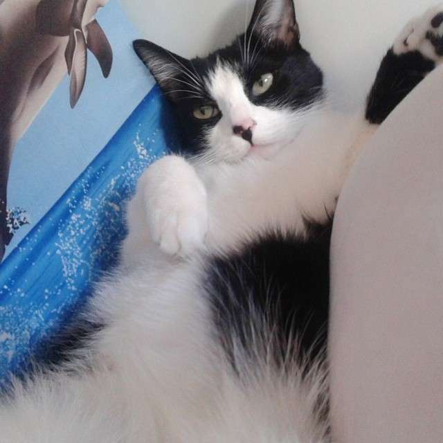 「来いよ」って言ってそうな画像くださいpart2