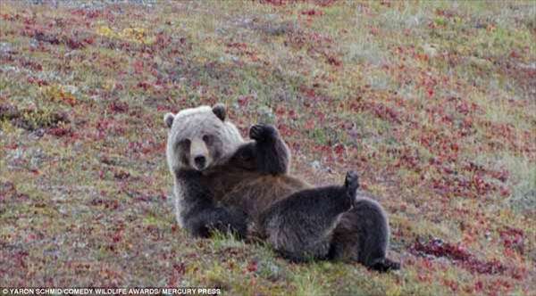 「来いよ」って言ってそうな画像くださいpart2