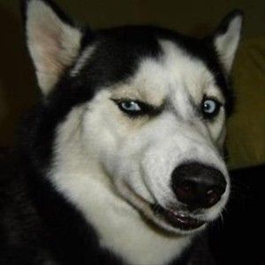 「来いよ」って言ってそうな画像くださいpart2