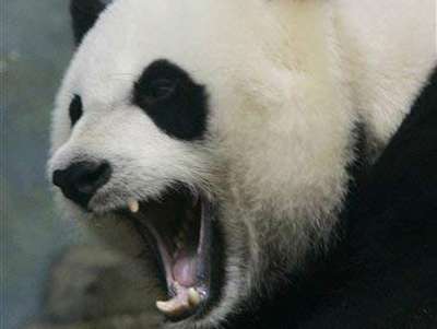 「来いよ」って言ってそうな画像くださいpart2