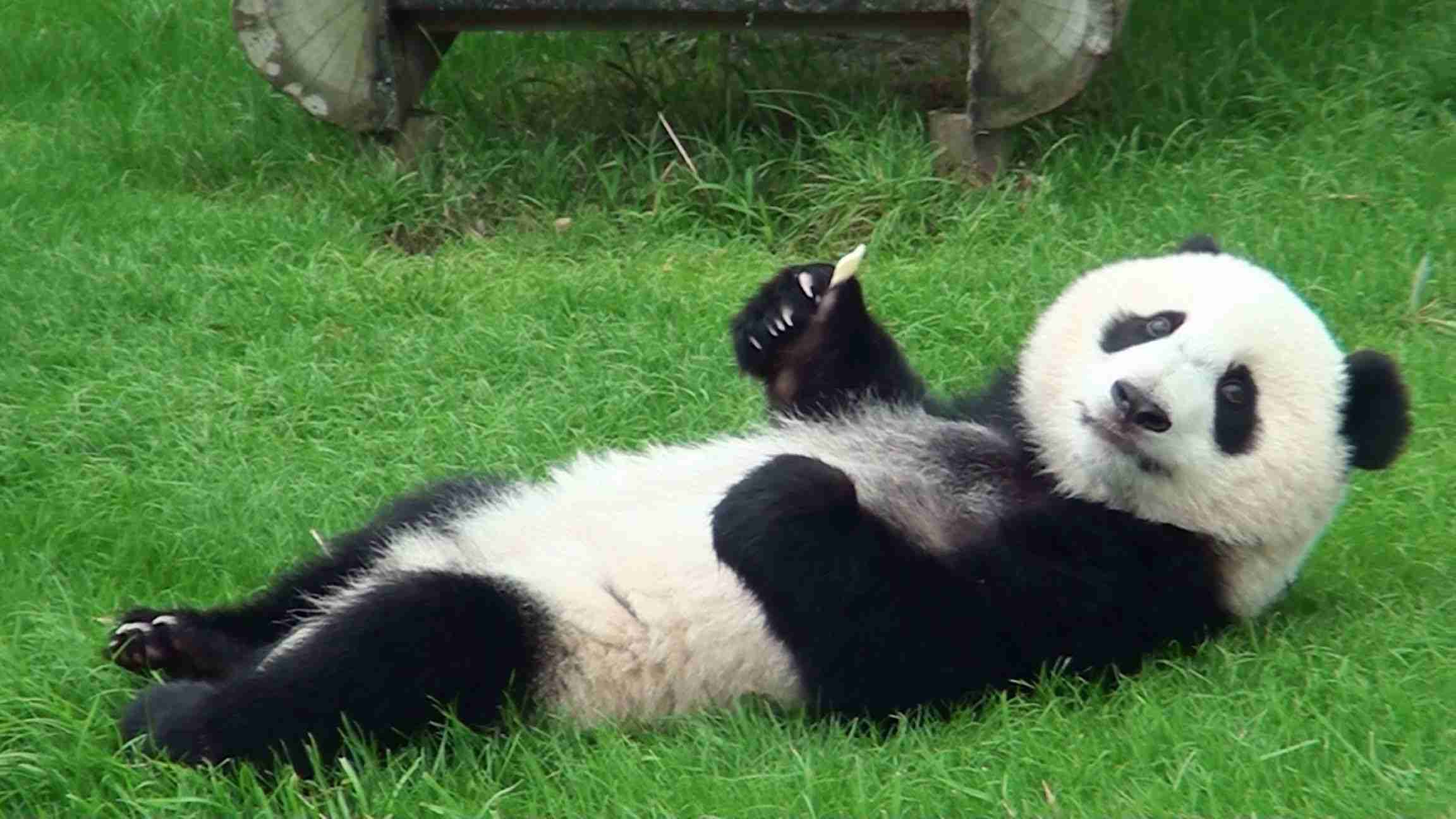 「来いよ」って言ってそうな画像くださいpart2