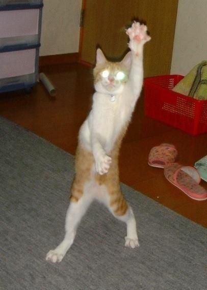 「来いよ」って言ってそうな画像くださいpart2