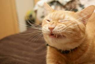 「来いよ」って言ってそうな画像くださいpart2