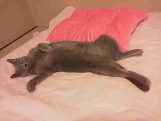 「来いよ」って言ってそうな画像くださいpart2