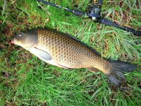 「来いよ」って言ってそうな画像くださいpart2