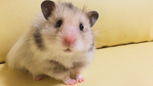 「来いよ」って言ってそうな画像くださいpart2