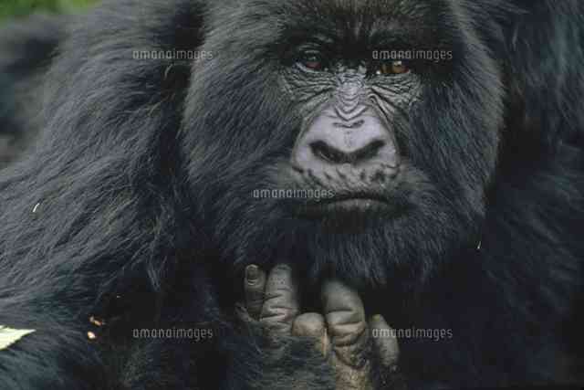 「来いよ」って言ってそうな画像くださいpart2