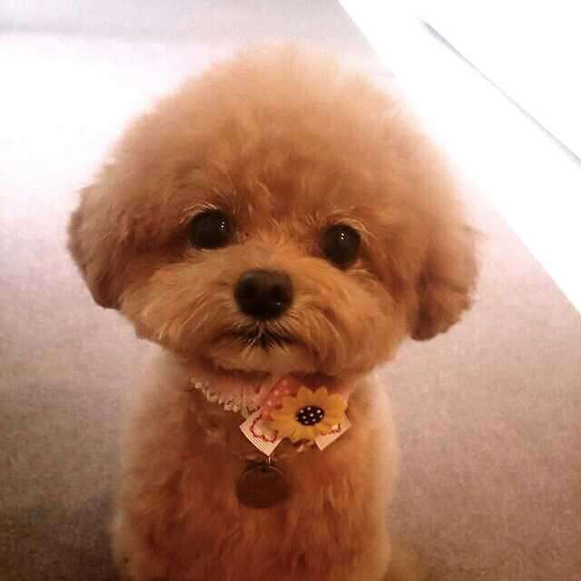 「来いよ」って言ってそうな画像くださいpart2