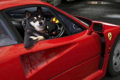 「来いよ」って言ってそうな画像くださいpart2