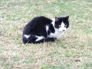 「来いよ」って言ってそうな画像くださいpart2