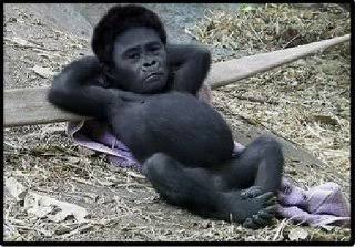 「来いよ」って言ってそうな画像くださいpart2