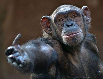 「来いよ」って言ってそうな画像くださいpart2