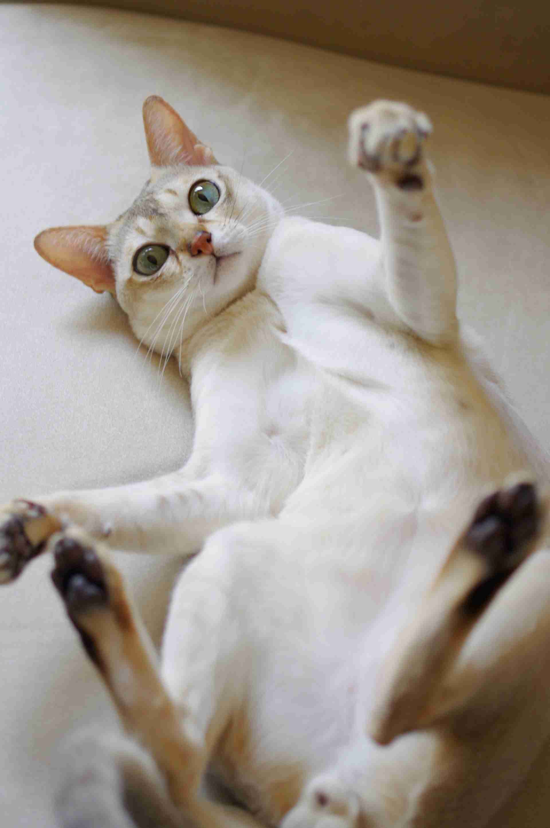 「来いよ」って言ってそうな画像くださいpart2