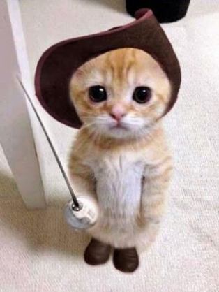 「来いよ」って言ってそうな画像くださいpart2