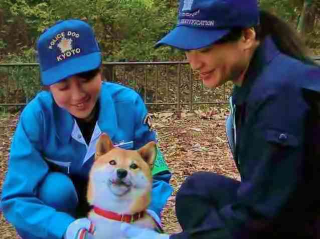 出演者に恋しちゃうドラマ・映画