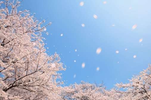 空の画像を貼って気分転換するトピ