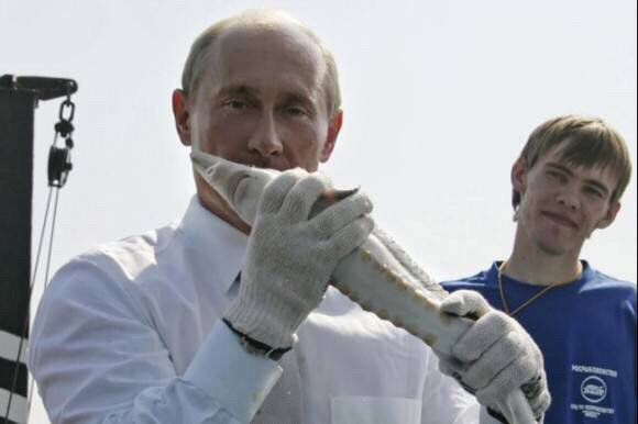 ロシアの自撮り棒です、ご覧ください