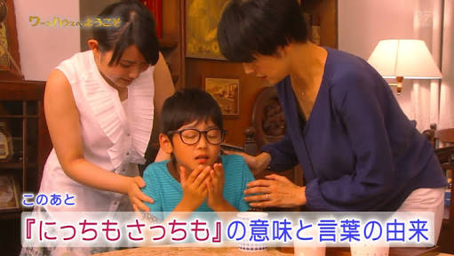 ほっこりする番組