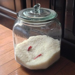 【閲覧注意】食べ物にまつわる怖い思い出