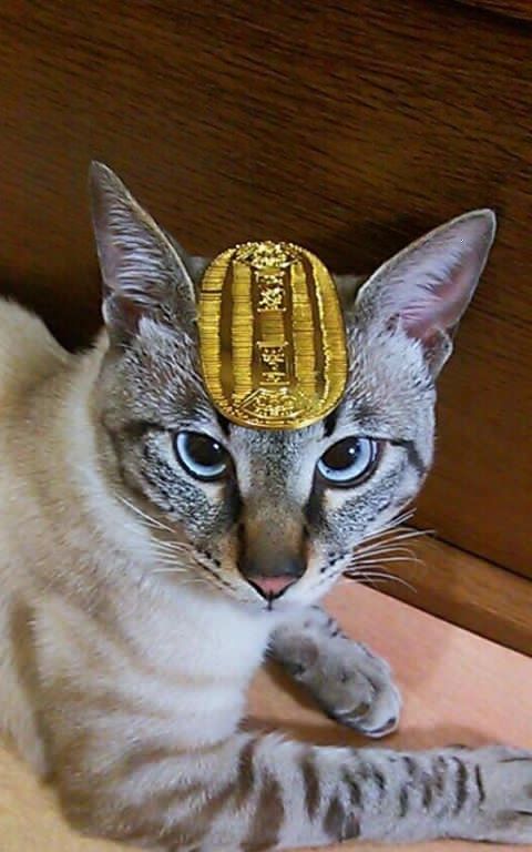 ガルちゃん内でやたら人気なもの