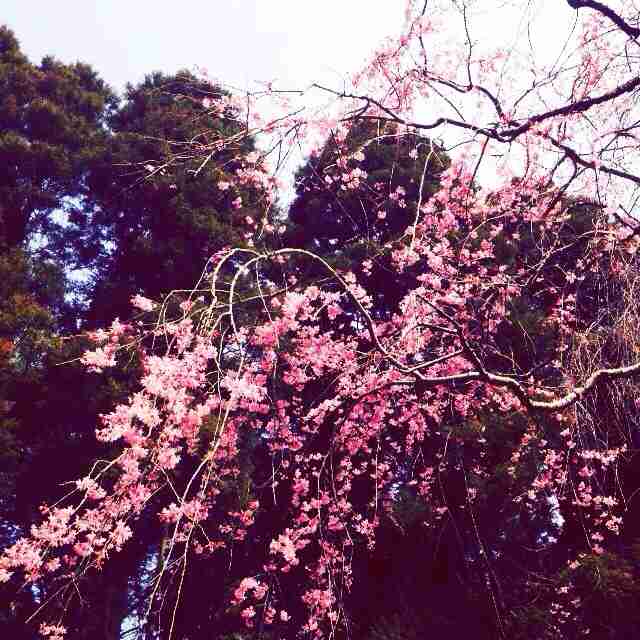 aikoについて語ろう♫