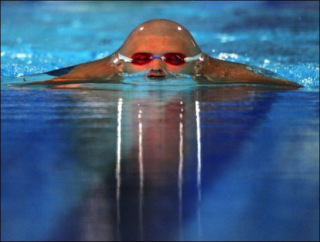 「よっ!」て言ってそうな画像ください