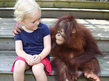 「よっ!」て言ってそうな画像ください