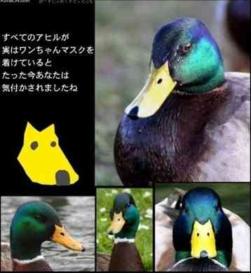 なかなかアートな画像が自然に集まるスレ