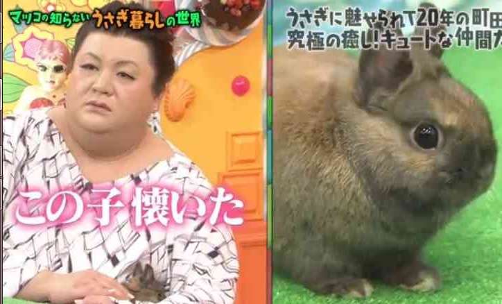 ガルちゃん視聴率(見る番組にはプラス、見ない番組にはマイナス)
